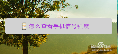 华为手机信号状况查询网站华为手机维修点查询附近的地址