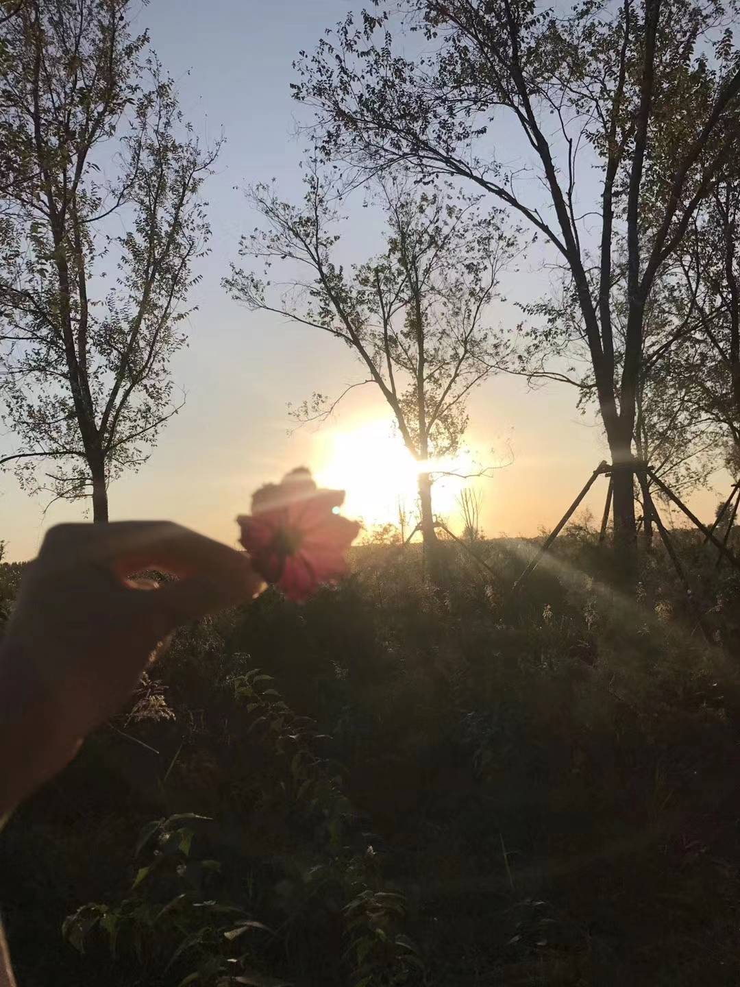 华为通话上网两不误手机
:一边上网课，一边打游戏，学生学习娱乐两不误，老师：对牛弹琴