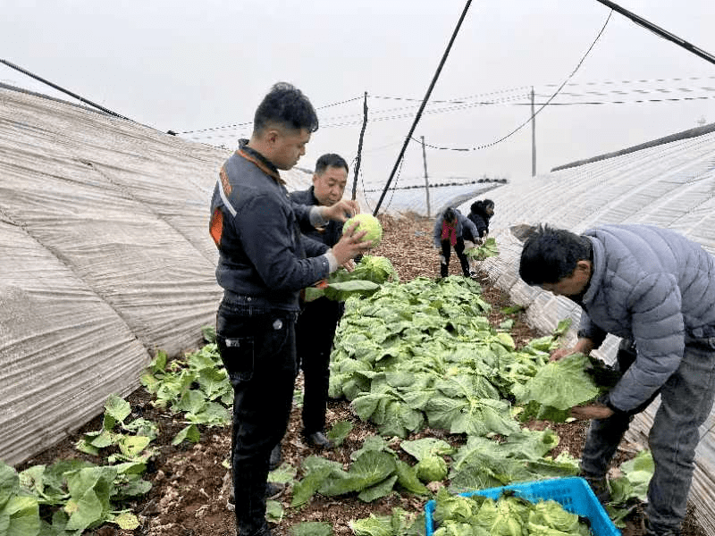 猪帮贷苹果版
:答好“三张考卷”!中国人寿为农业生产保驾护航-第2张图片-太平洋在线下载