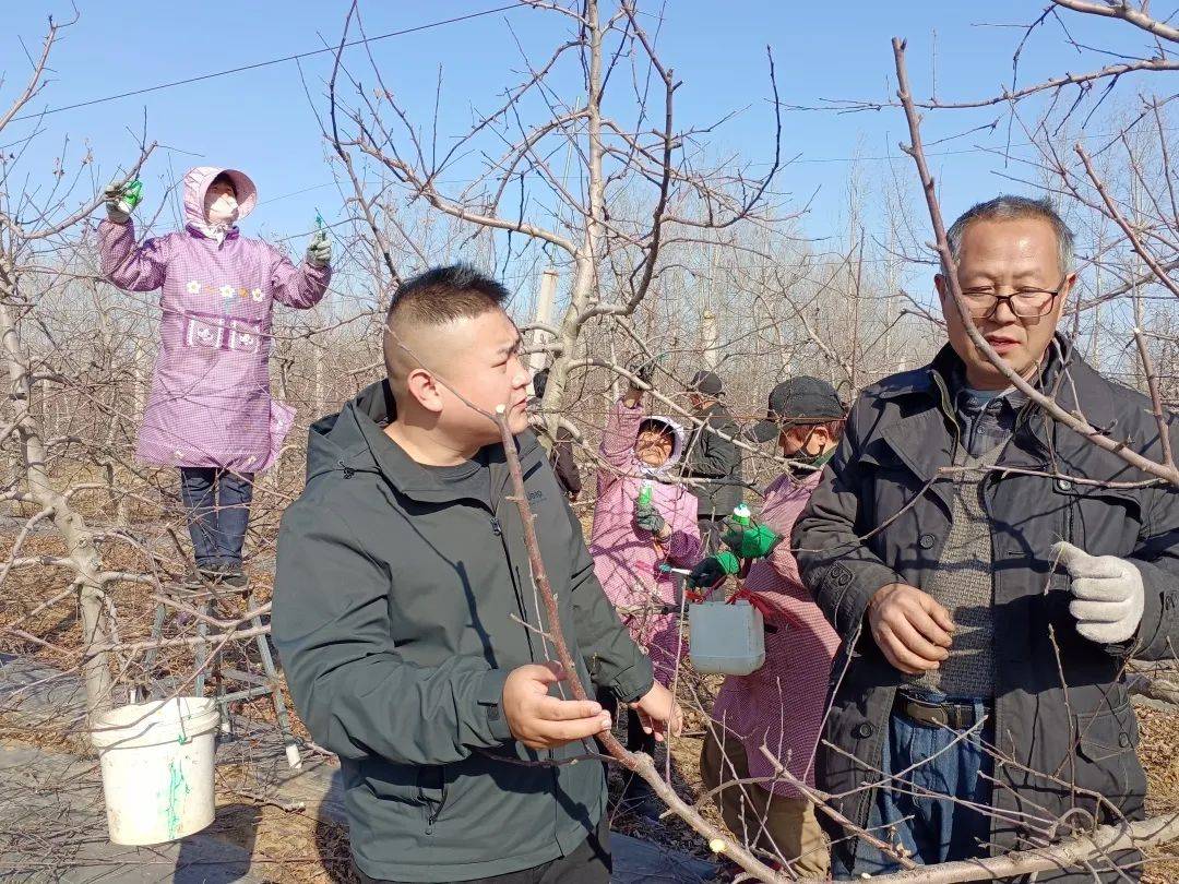 猪帮贷苹果版
:答好“三张考卷”!中国人寿为农业生产保驾护航-第4张图片-太平洋在线下载