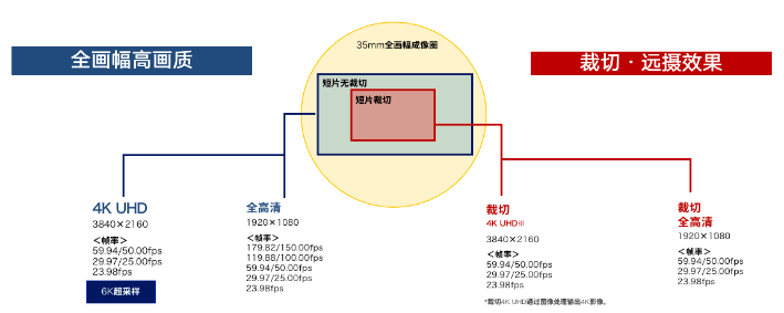 防抖相机苹果版:轻松玩转Vlog 佳能推出普及型全画幅专微相机EOS R8和RF24-50mm F4.5-6.3 IS STM标准变焦镜头-第10张图片-太平洋在线下载