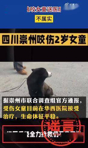 2岁女童被烈犬咬伤后续：家属申请将涉事黑狗安乐死，记者实地探访→-第5张图片-太平洋在线下载