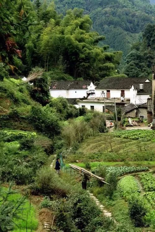 手机版村庄街机模拟器9000合集-第2张图片-太平洋在线下载