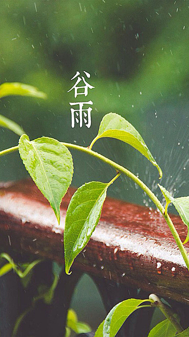 谷雨手机版谷雨平台学生端-第2张图片-太平洋在线下载