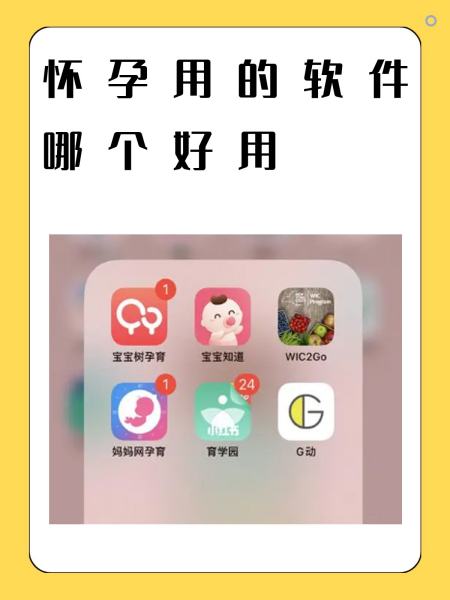 孕妇软件推荐苹果版怀孕app有哪些孕期app软件哪个好用-第2张图片-太平洋在线下载