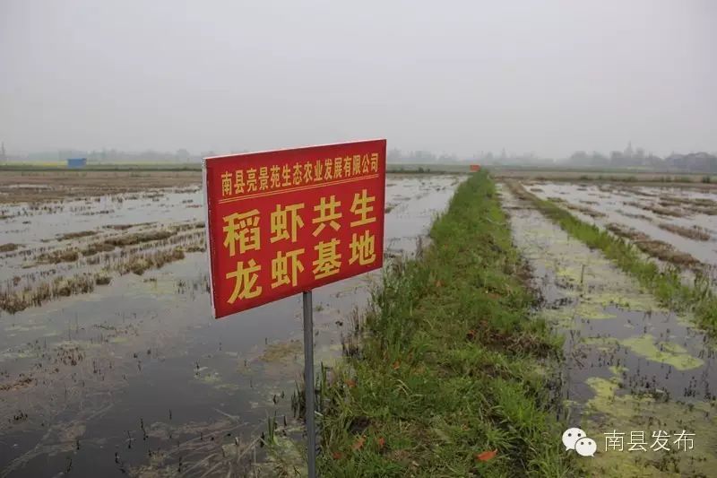 生态南县手机客户端从现在起请小心保管你的手套英文