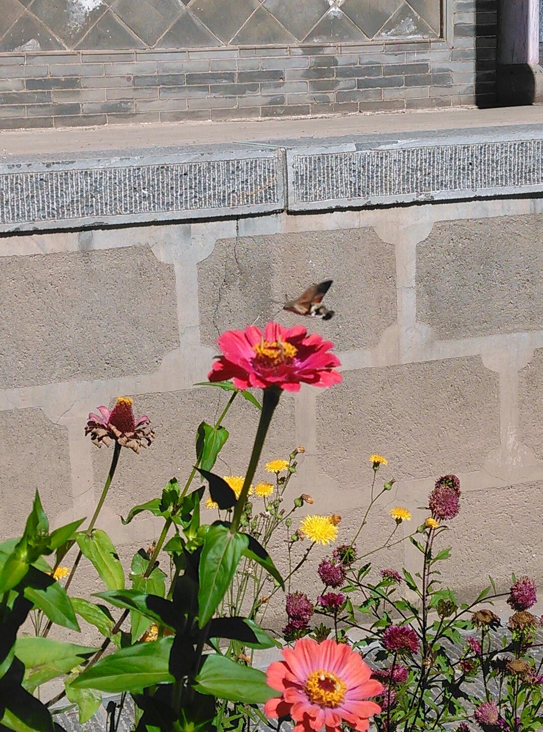 繁峙定个蛋手机版下载(繁峙定个蛋最新版2022玩法介绍)-第2张图片-QuickQ官网