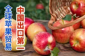 苹果usc版(苹果usb是什么版本)-第5张图片-QuickQ官网