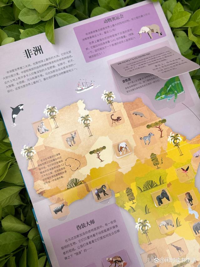 神奇的地图手机版(神奇地图卫星定位下载)